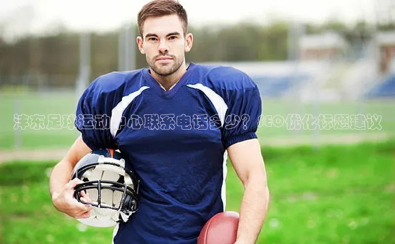 摩登7app下载百度游戏开放平台沣东足球运动中心联系电话多少？SEO优化标题建议