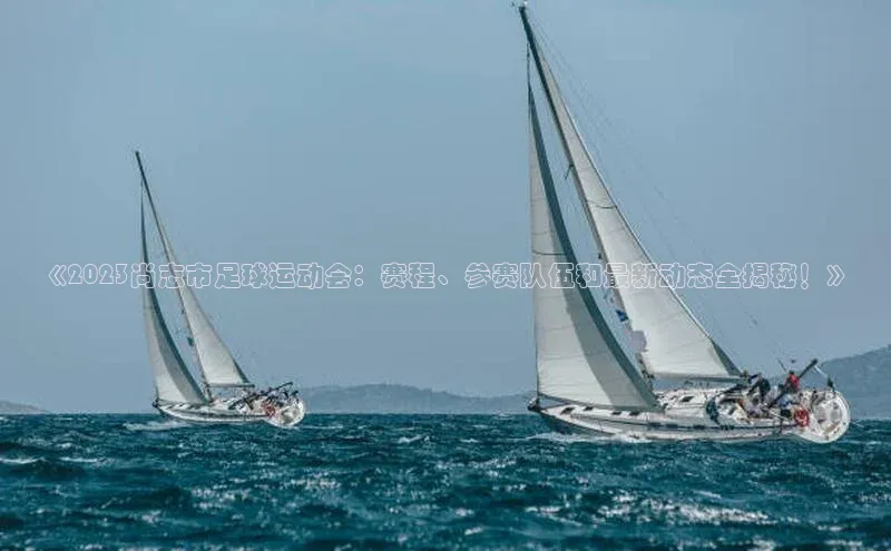 摩登7登录地址百度网盘企业版《2023尚志市足球运动会：赛程、参赛队伍和最新动态全揭秘！》