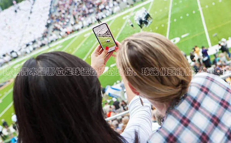 摩登7lite登录入口巴美列捷福揭秘青木是哪位足球运动员的身份，球迷们亟待解开的谜团