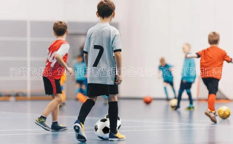 摩登7登录地址百度手机助手闽韵飞扬：2023福建省运动会精彩赛事回顾与展望