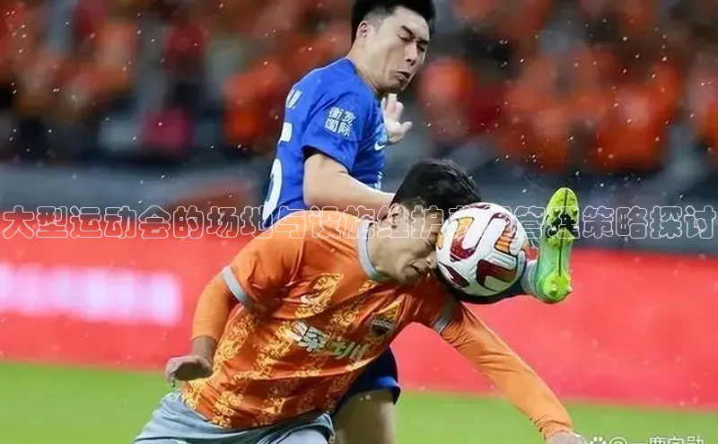 大型运动会的场地与设施维护费用管理策略探讨