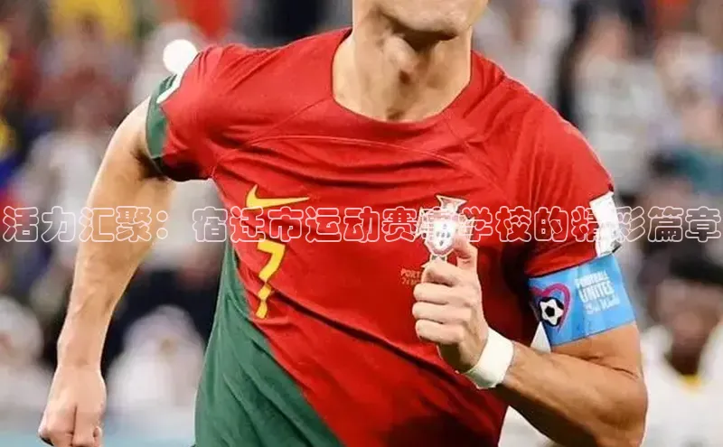 活力汇聚：宿迁市运动赛事学校的精彩篇章