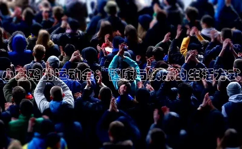 小白鸡的运动会：健康与快乐的生活方式