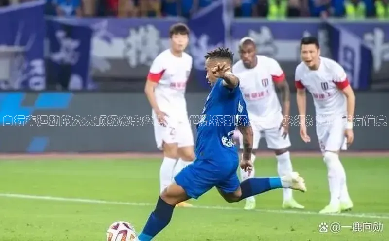 自行车运动的六大顶级赛事盘点：从世界杯到环法，你必须知道的所有信息