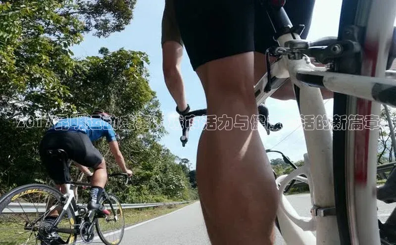 2017昆明运动盛事：城市活力与健康生活的新篇章