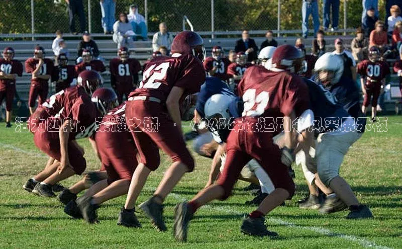 活力四射，荣耀之巅——2023年度运动会风采展示板