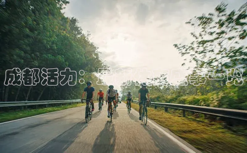 成都活力：最新体育盛事一览