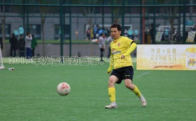 2017年冰雪运动盛事：冰与雪的极限挑战