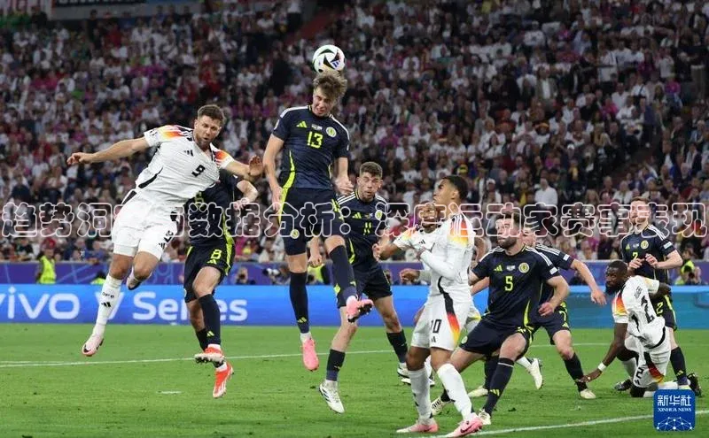 趋势洞察与数据分析：深度运动家赛事表现