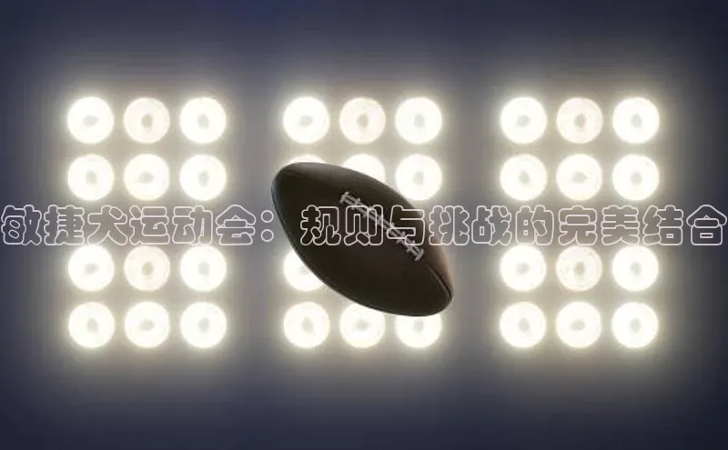敏捷犬运动会：规则与挑战的完美结合