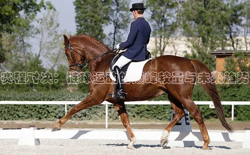 赛程对决：链球运动的巅峰较量与未来趋势