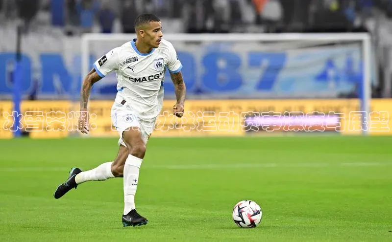 冰雪荣耀：国家冰球运动赛事深度与展望