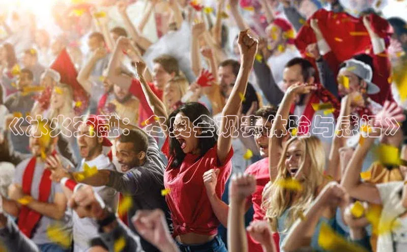 《冰火交融：冬奥会观赛体验与感悟》