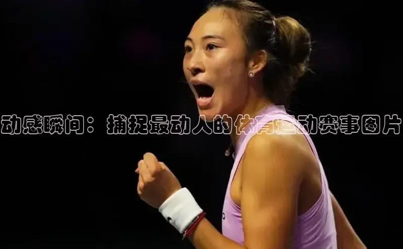 摩登7登录平台注册