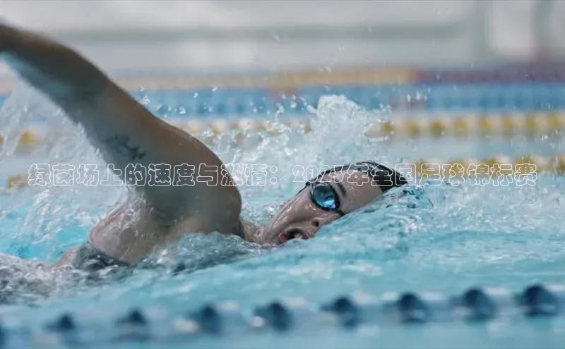 摩登7会员登录入口