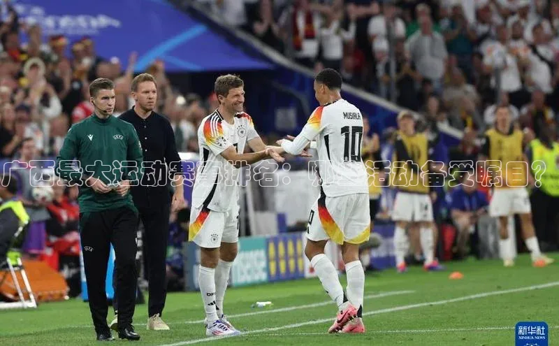 广西最大运动赛事排名：哪些活动备受瞩目？