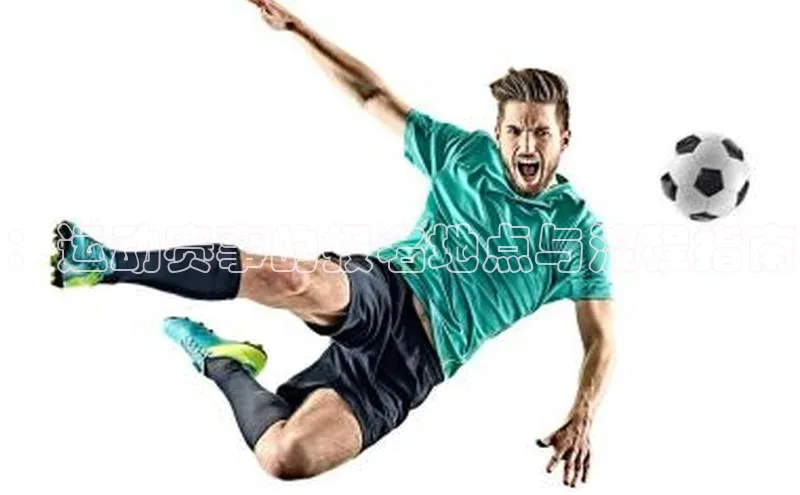 ：运动赛事的报名地点与流程指南